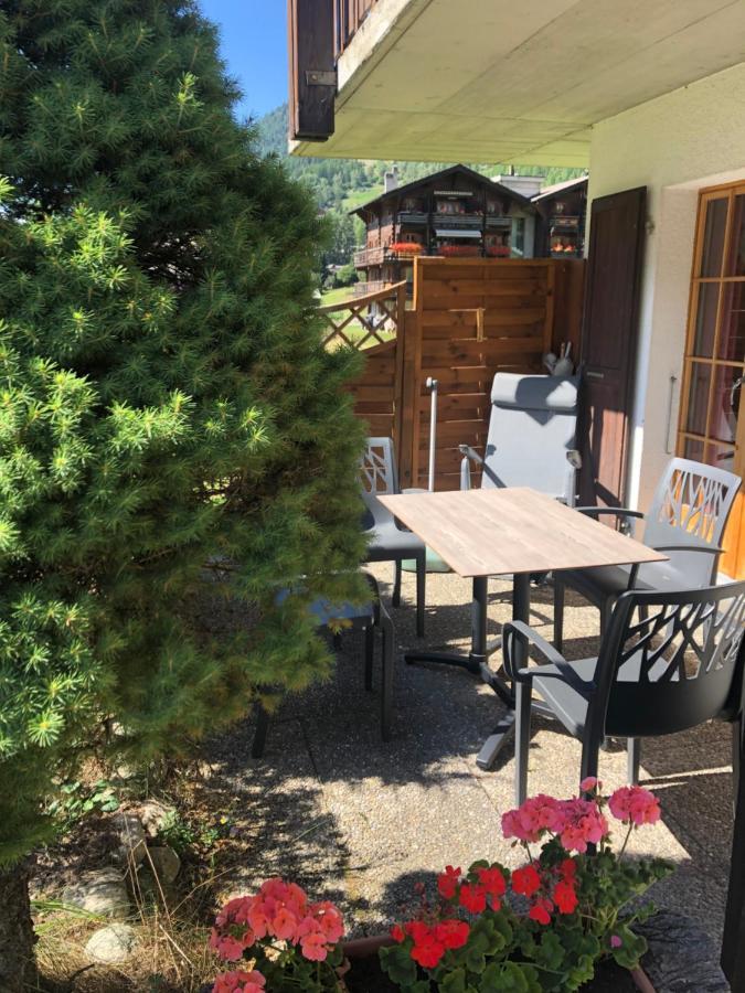 L'Herensarde, Bel Appartement Avec Jardin-Terrasse Et Garage Evolène Kültér fotó