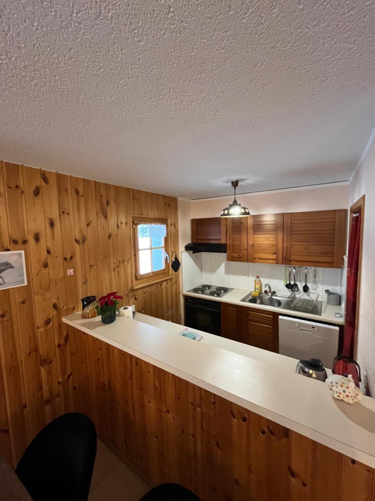L'Herensarde, Bel Appartement Avec Jardin-Terrasse Et Garage Evolène Kültér fotó
